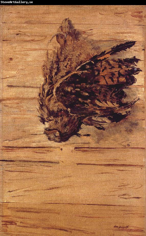 Edouard Manet Dead Eagle Owl